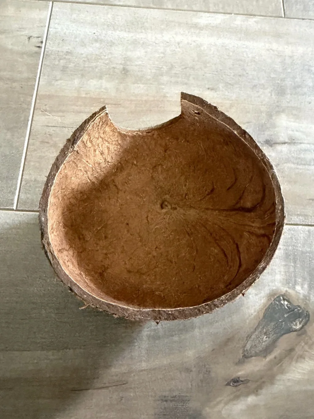 Coconut Hut